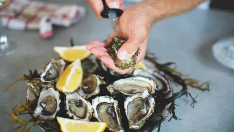 OYSTERS TOUR