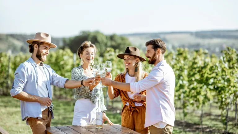 PELJESAC WINE TASTING FRIENDS