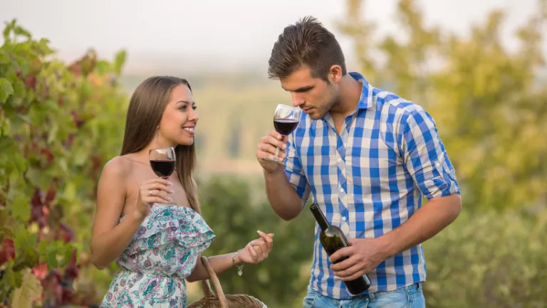 PELJESAC WINE TASTING